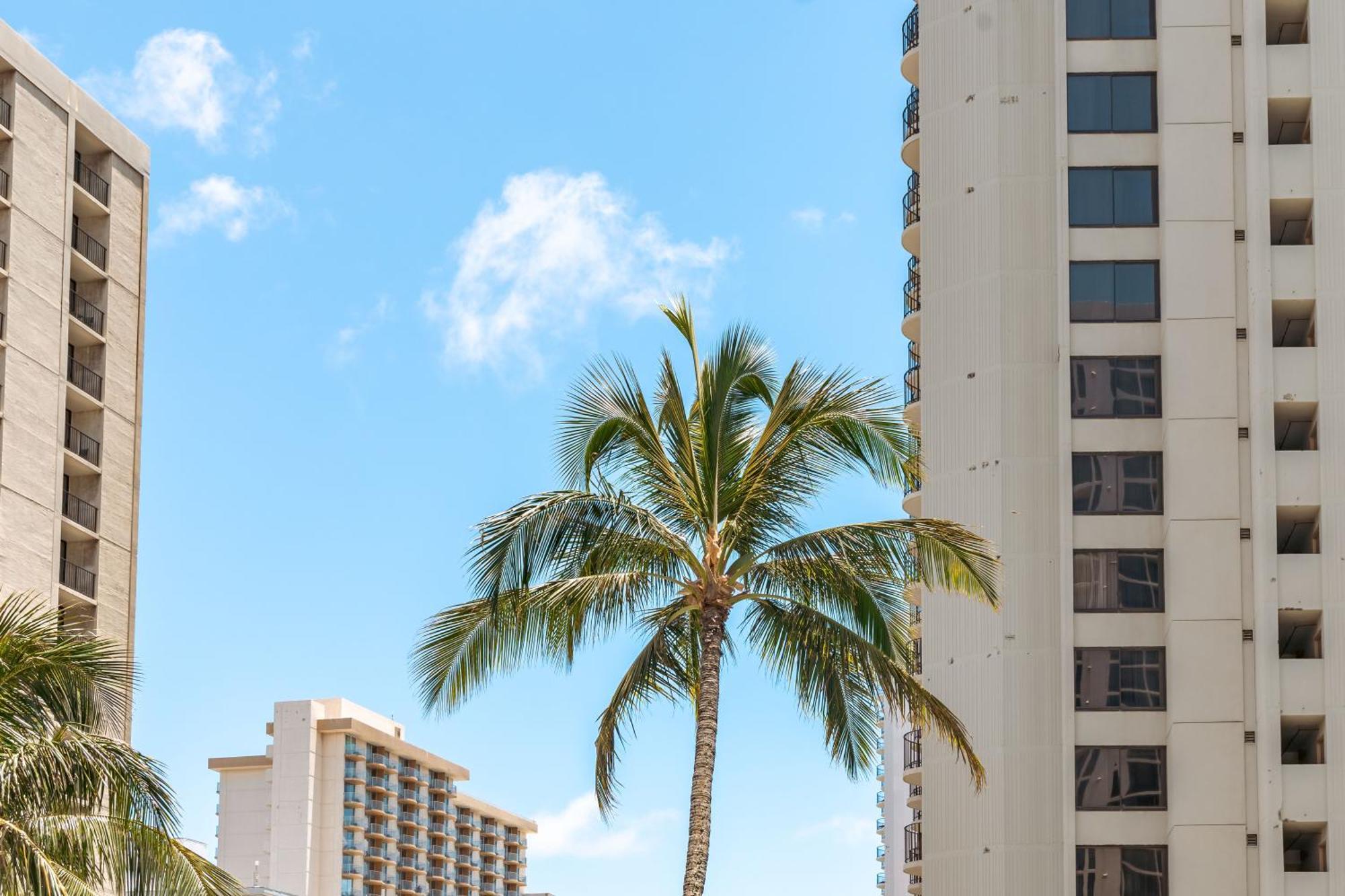 Cozy Waikiki Getaway, Stroll To Beach With Free Parking Honolulu Eksteriør billede