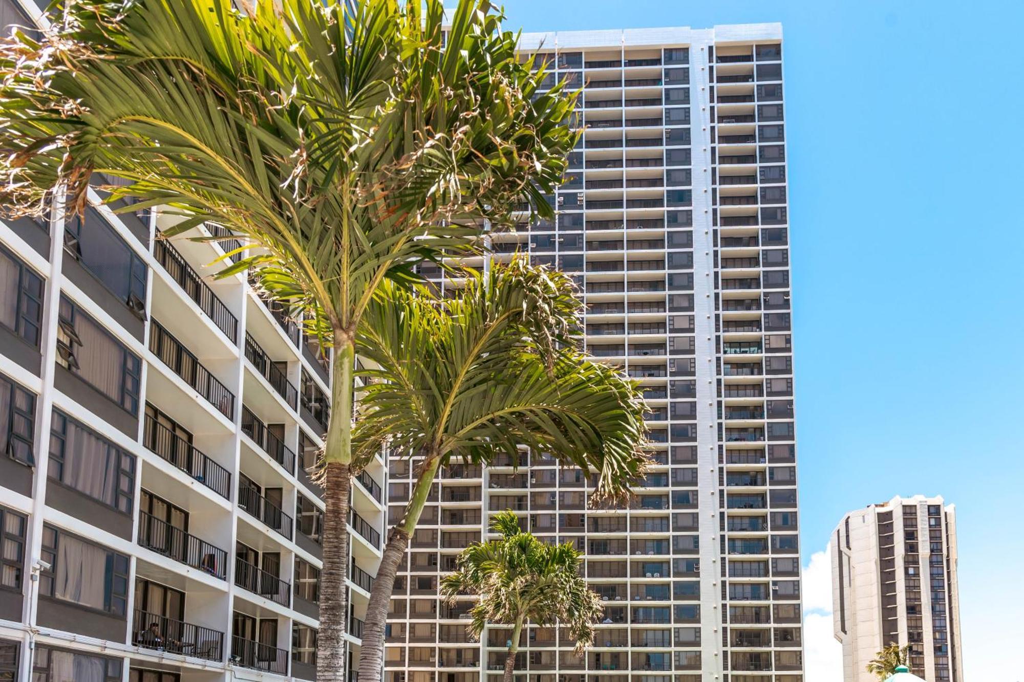 Cozy Waikiki Getaway, Stroll To Beach With Free Parking Honolulu Eksteriør billede