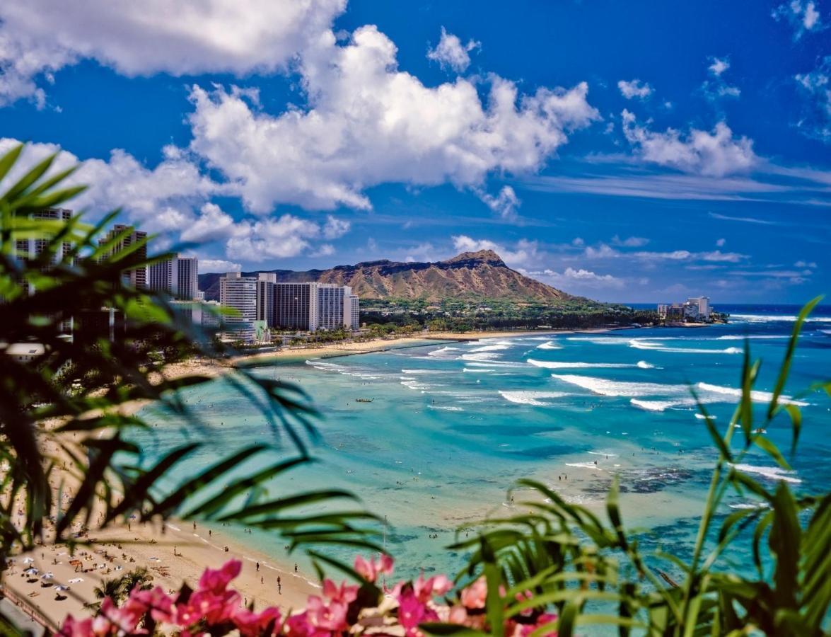 Cozy Waikiki Getaway, Stroll To Beach With Free Parking Honolulu Eksteriør billede