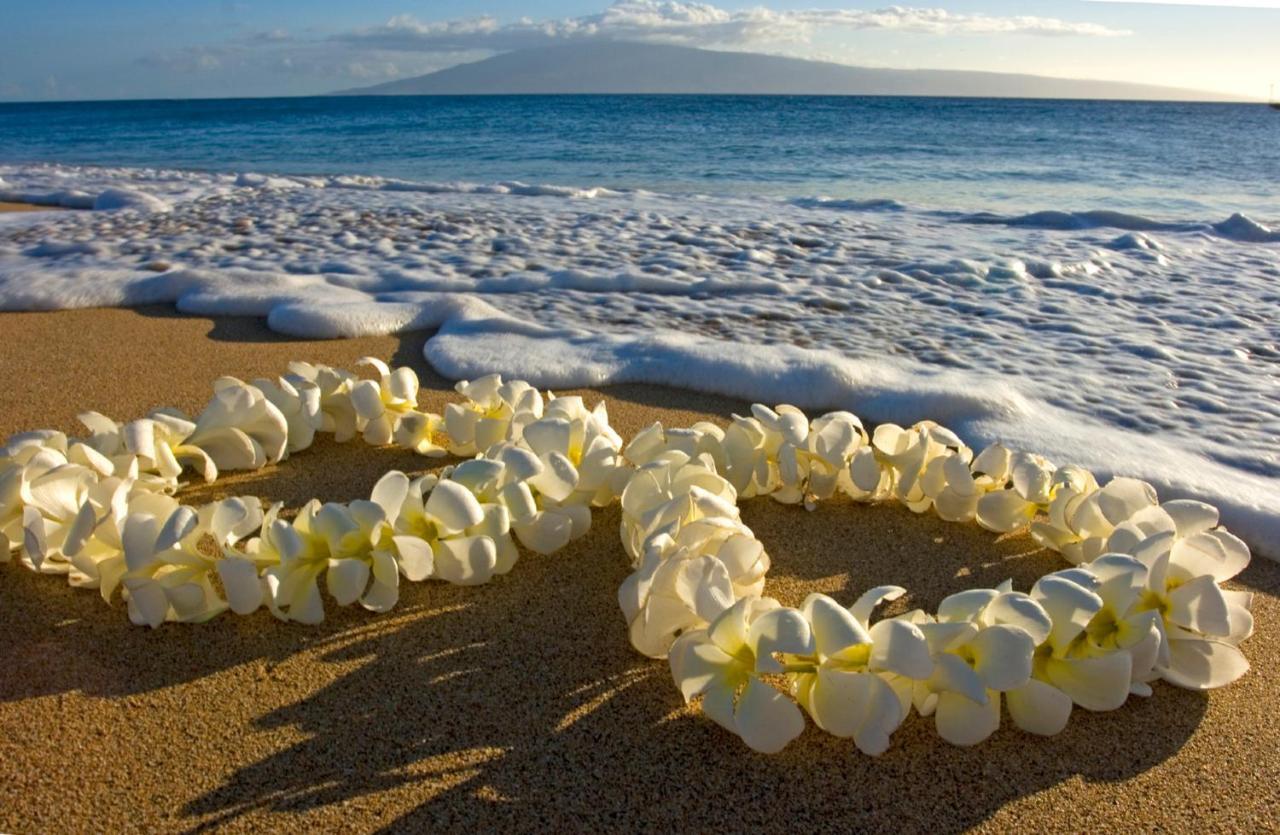 Cozy Waikiki Getaway, Stroll To Beach With Free Parking Honolulu Eksteriør billede